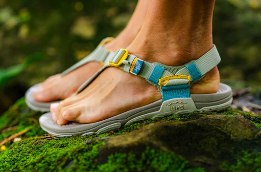 Femme Switchback Sandal Knit - Ivy